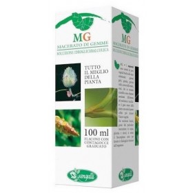 MG RIBES NERO Ribes nigrum gem 100 ml